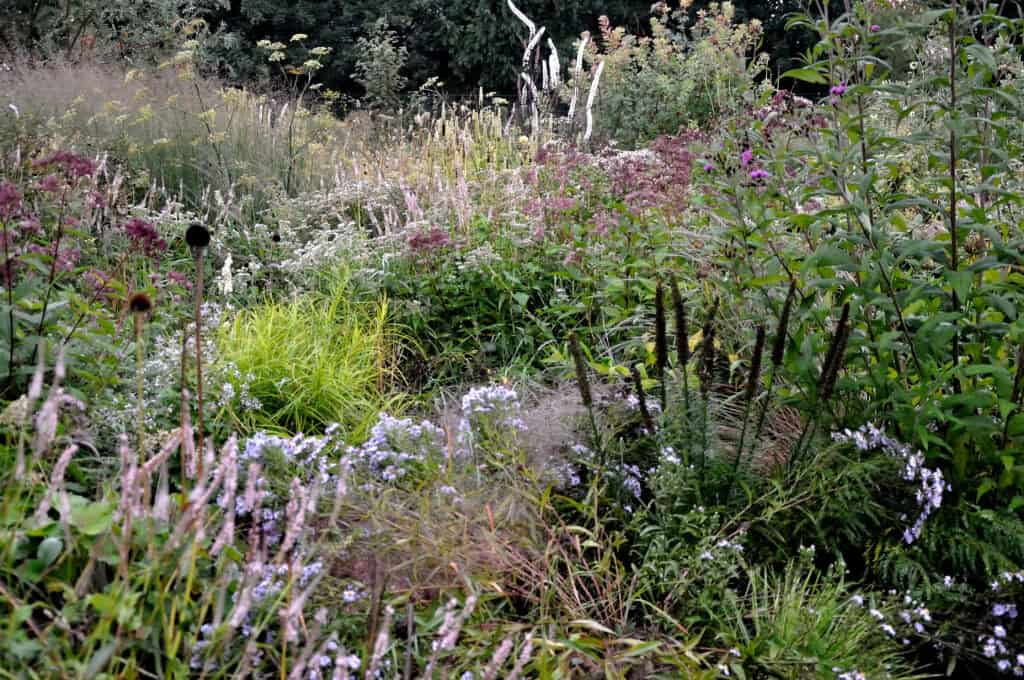 vaste planten als basis van beplantingsplan