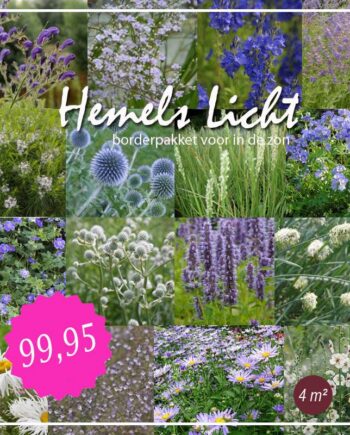 Borderpakket: Hemels Licht