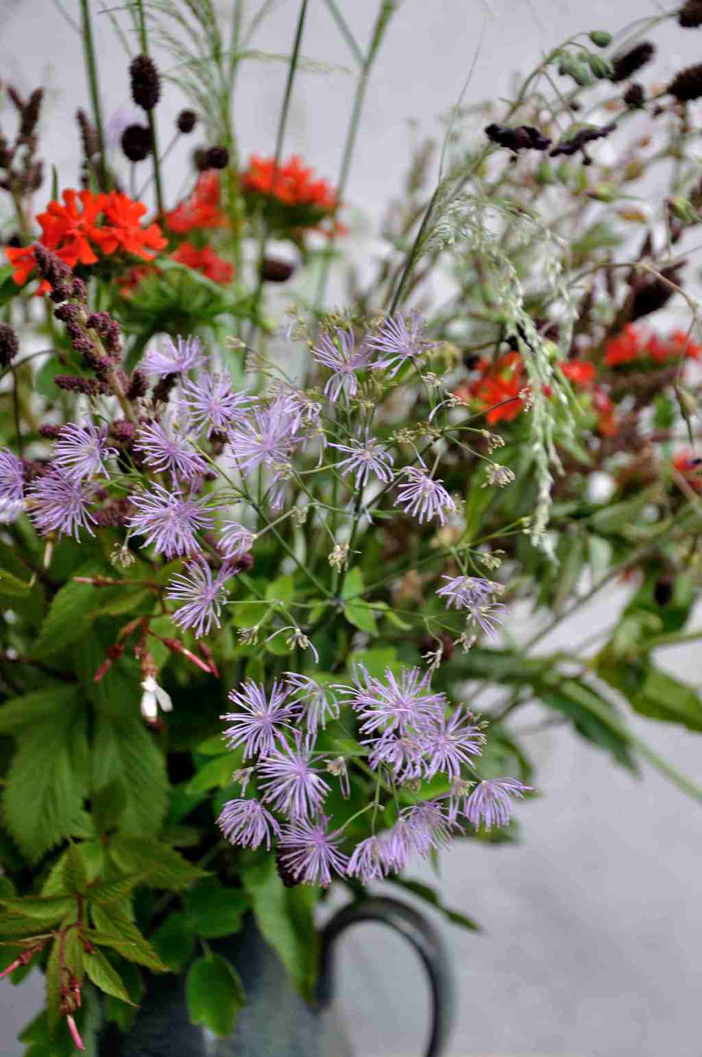 vaas met bloemen uit Borderpakket: Momenten halverwege juni van Plantwerk
