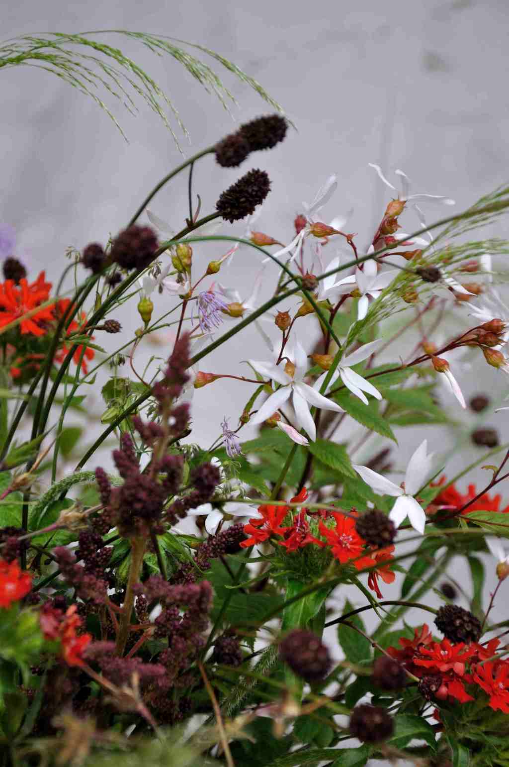 vaas met bloemen uit Borderpakket: Momenten halverwege juni van Plantwerk