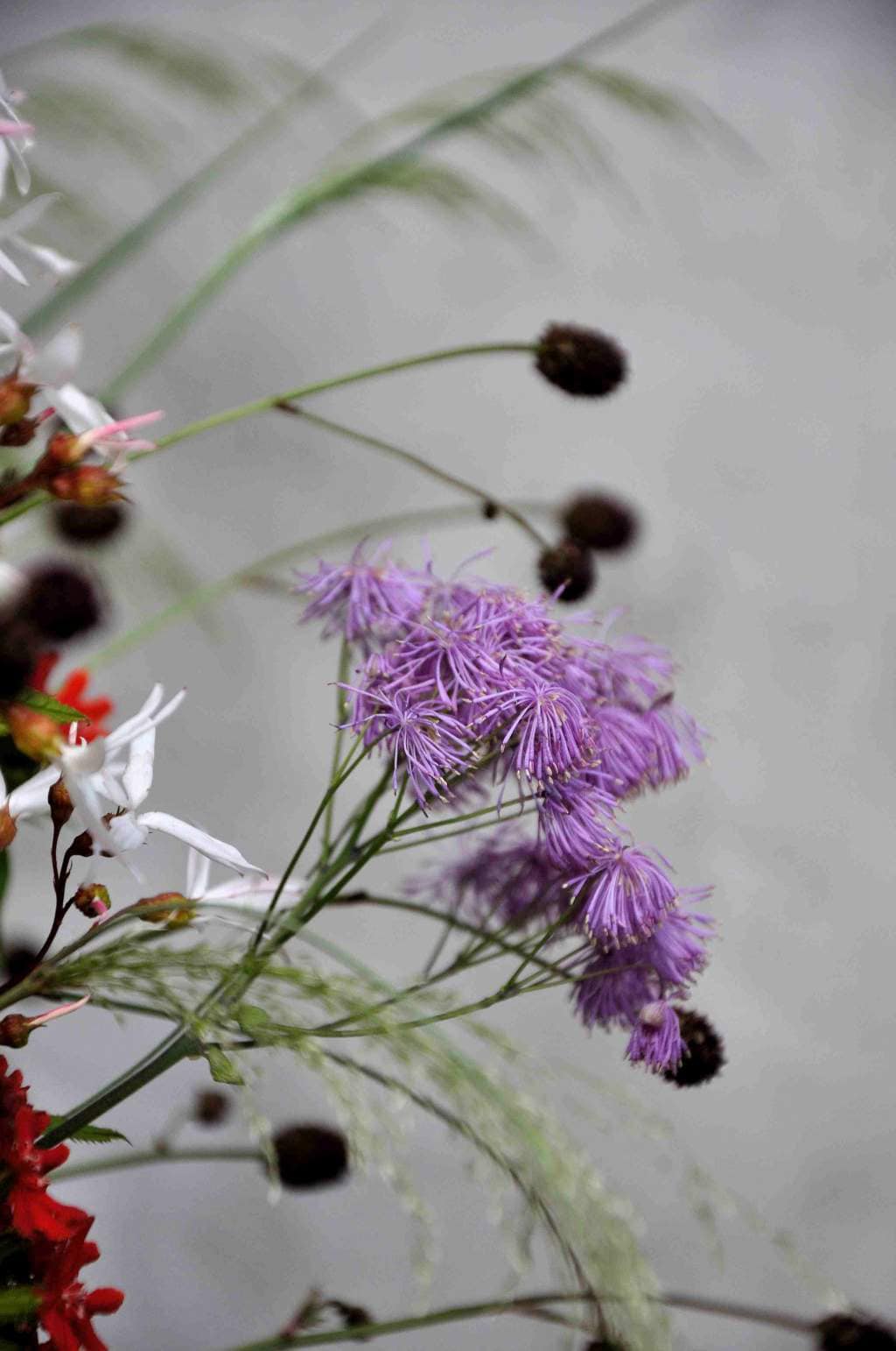 vaas met bloemen uit Borderpakket: Momenten halverwege juni van Plantwerk