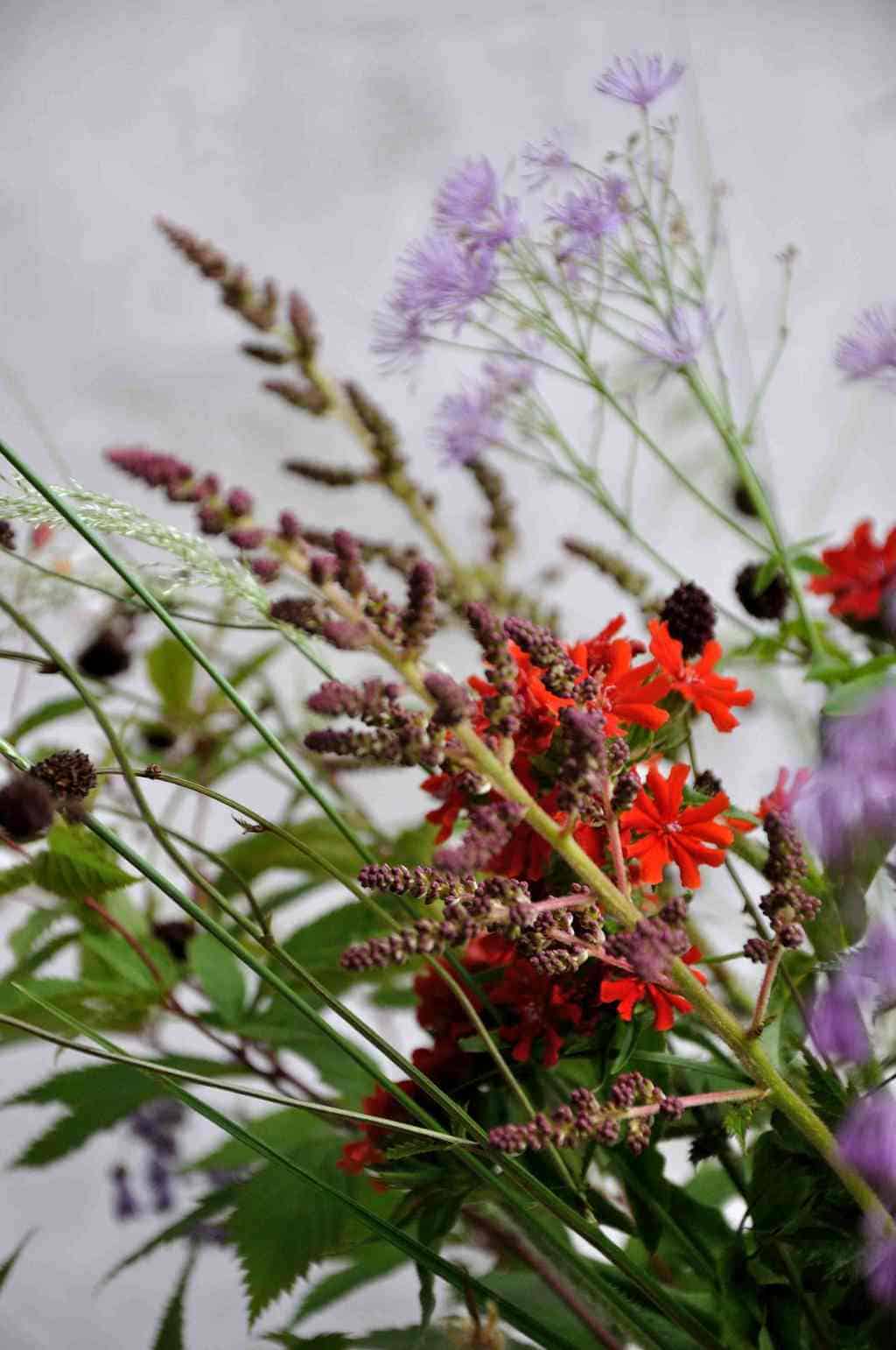vaas met bloemen uit Borderpakket: Momenten halverwege juni van Plantwerk