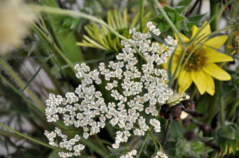 Vaas met bloemen in Borderpakket: Momenten in augustus van Plantwerk