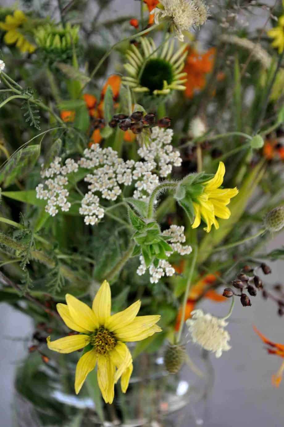 Vaas met bloemen in Borderpakket: Momenten in augustus van Plantwerk
