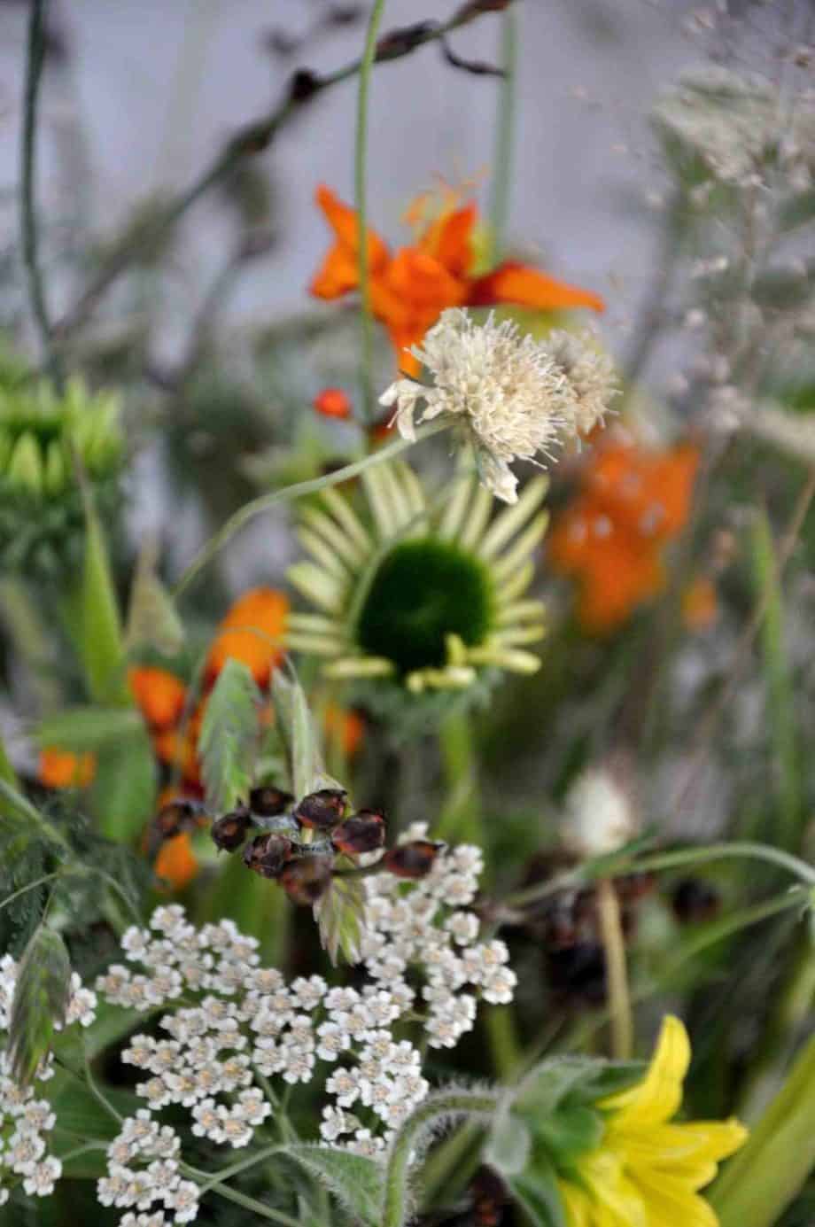 Vaas met bloemen in Borderpakket: Momenten in augustus van Plantwerk