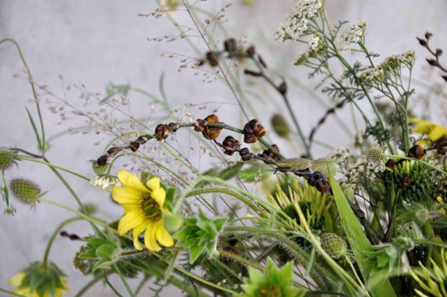 Vaas met bloemen in Borderpakket: Momenten in augustus van Plantwerk