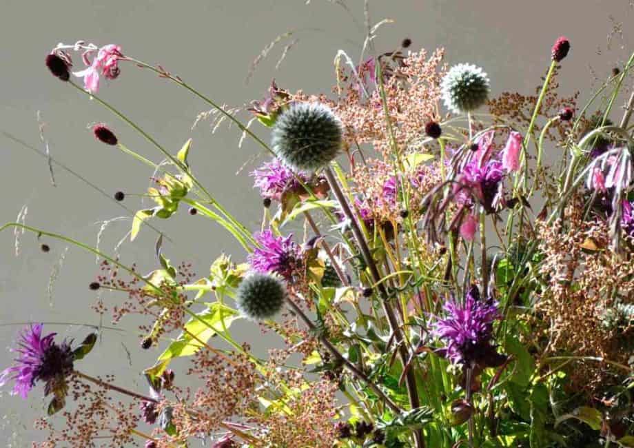 Vaas met bloemen in Borderpakket: Momenten in juli van Plantwerk