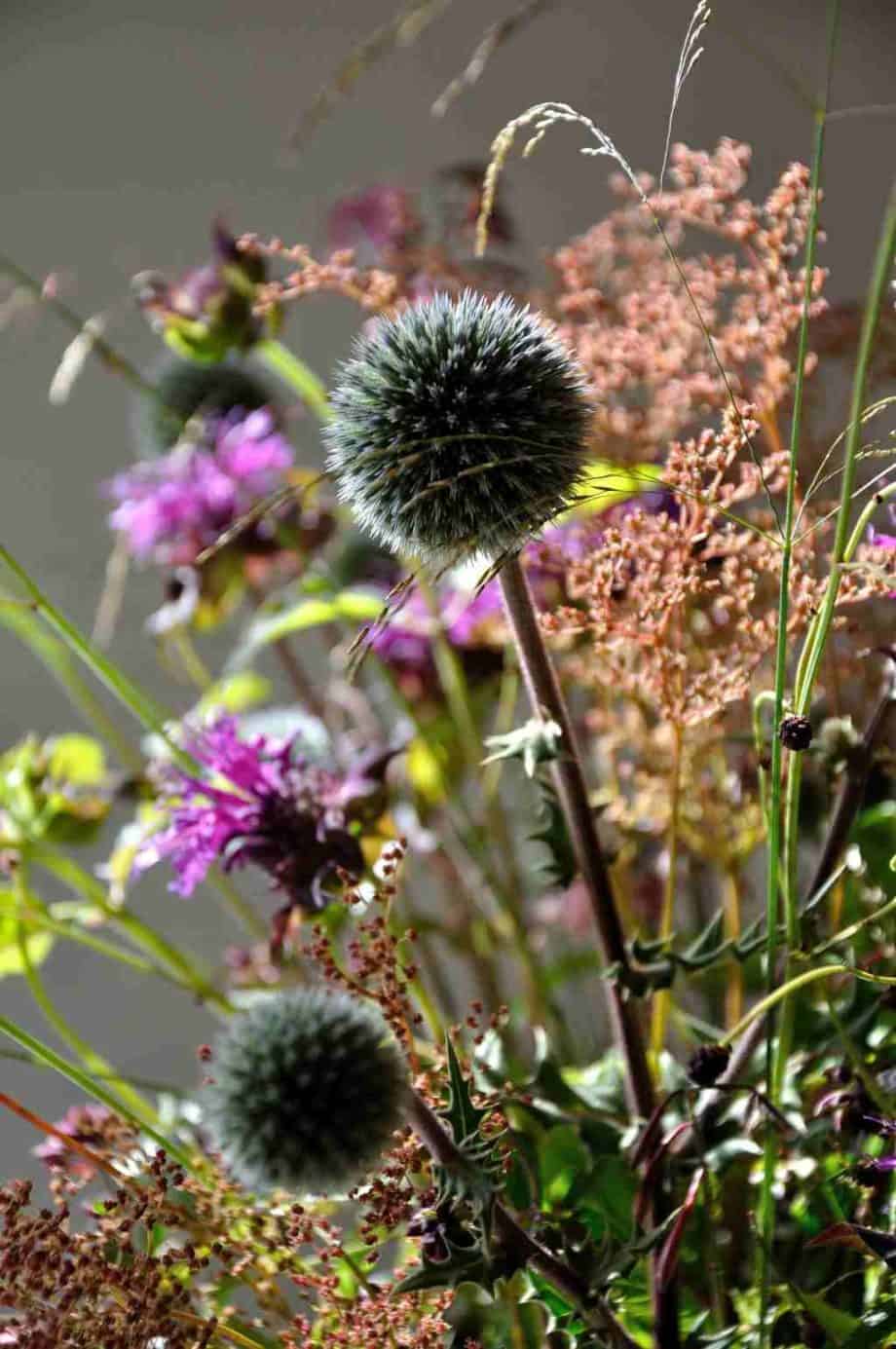 Vaas met bloemen in Borderpakket: Momenten in juli van Plantwerk