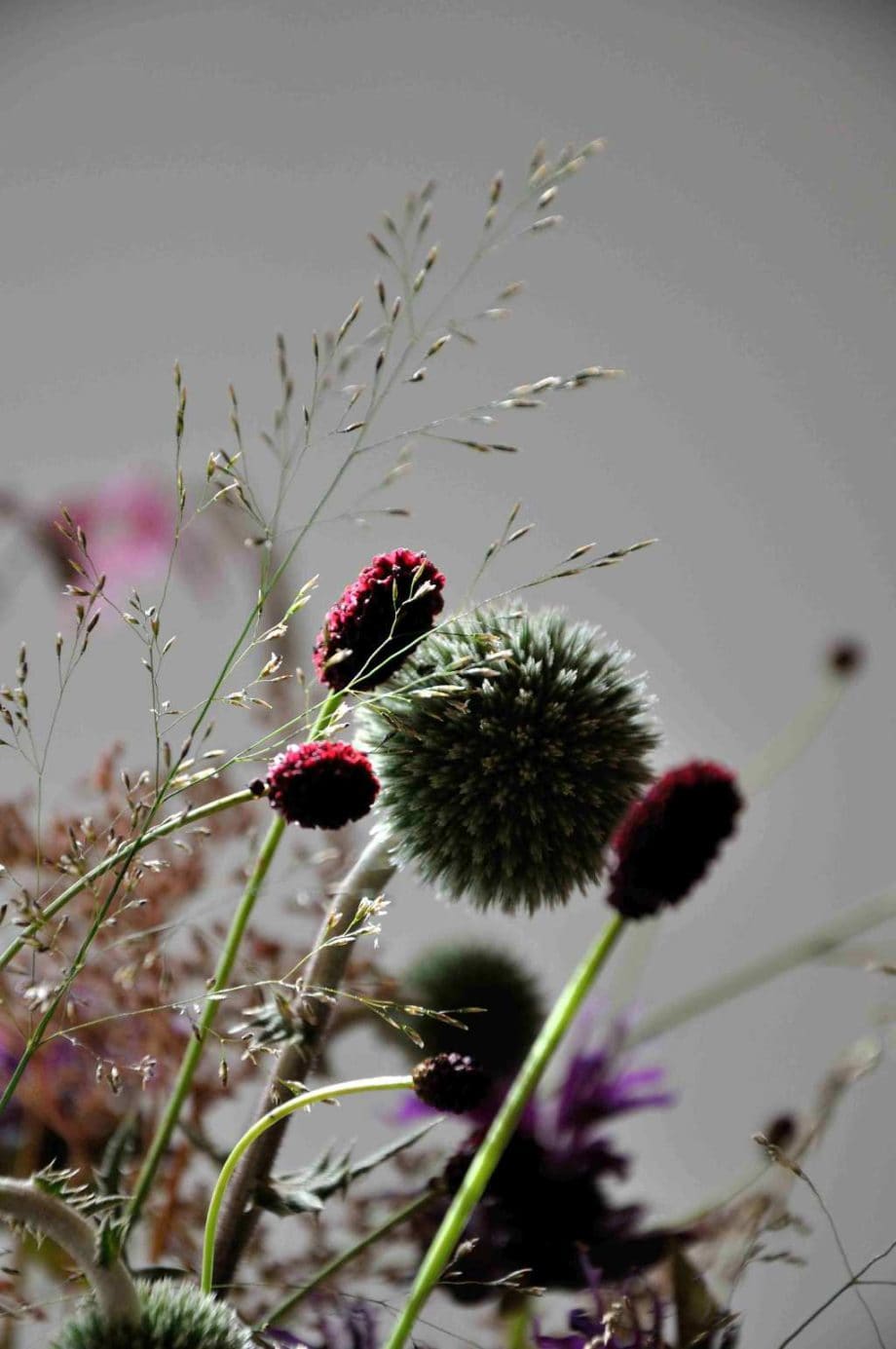 Vaas met bloemen in Borderpakket: Momenten in juli van Plantwerk