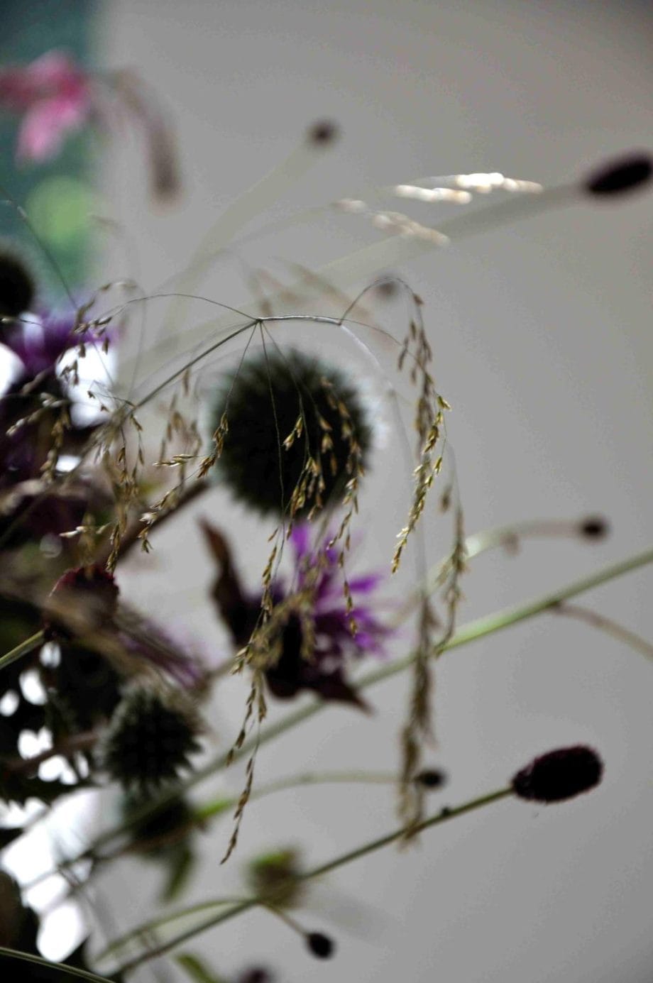 Vaas met bloemen in Borderpakket: Momenten in juli van Plantwerk