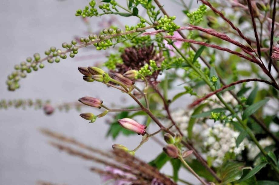 Vaas met bloemen in Borderpakket: Momenten in september van Plantwerk