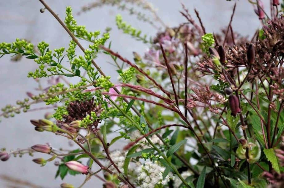 Vaas met bloemen in Borderpakket: Momenten in september van Plantwerk