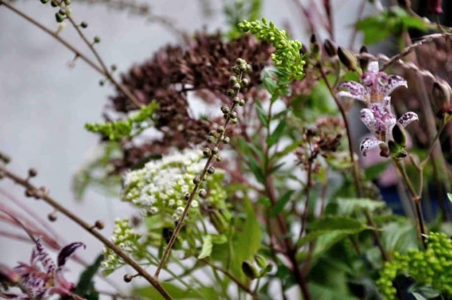 Vaas met bloemen in Borderpakket: Momenten in september van Plantwerk