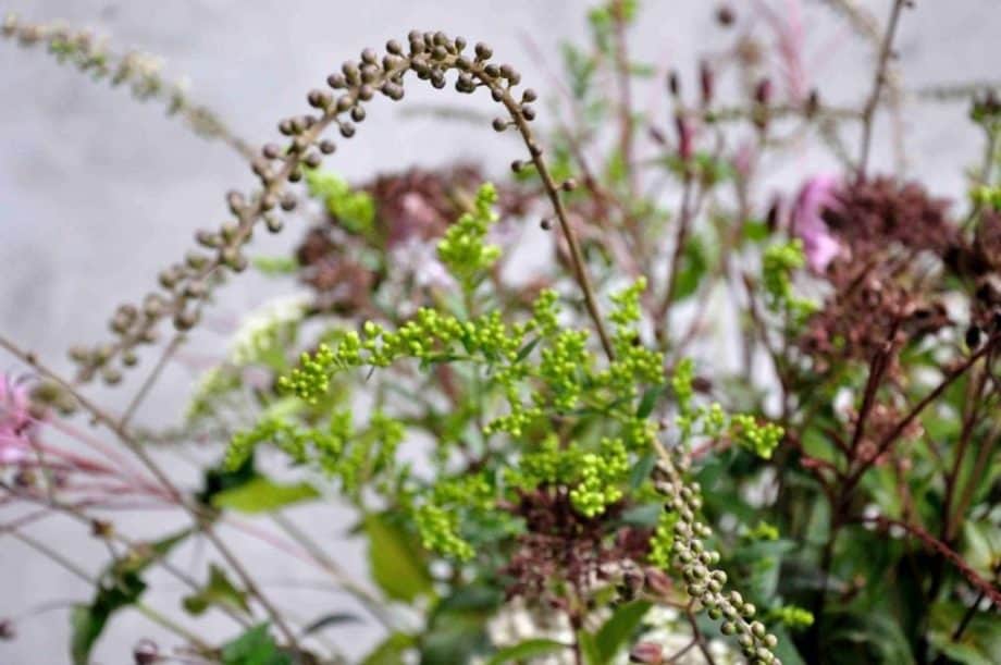 Vaas met bloemen in Borderpakket: Momenten in september van Plantwerk