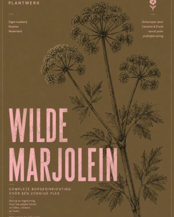 Botanical Card Wilde Marjolein – Plantwerk Botanical Collection met inheemse planten voor zonnige tuinen