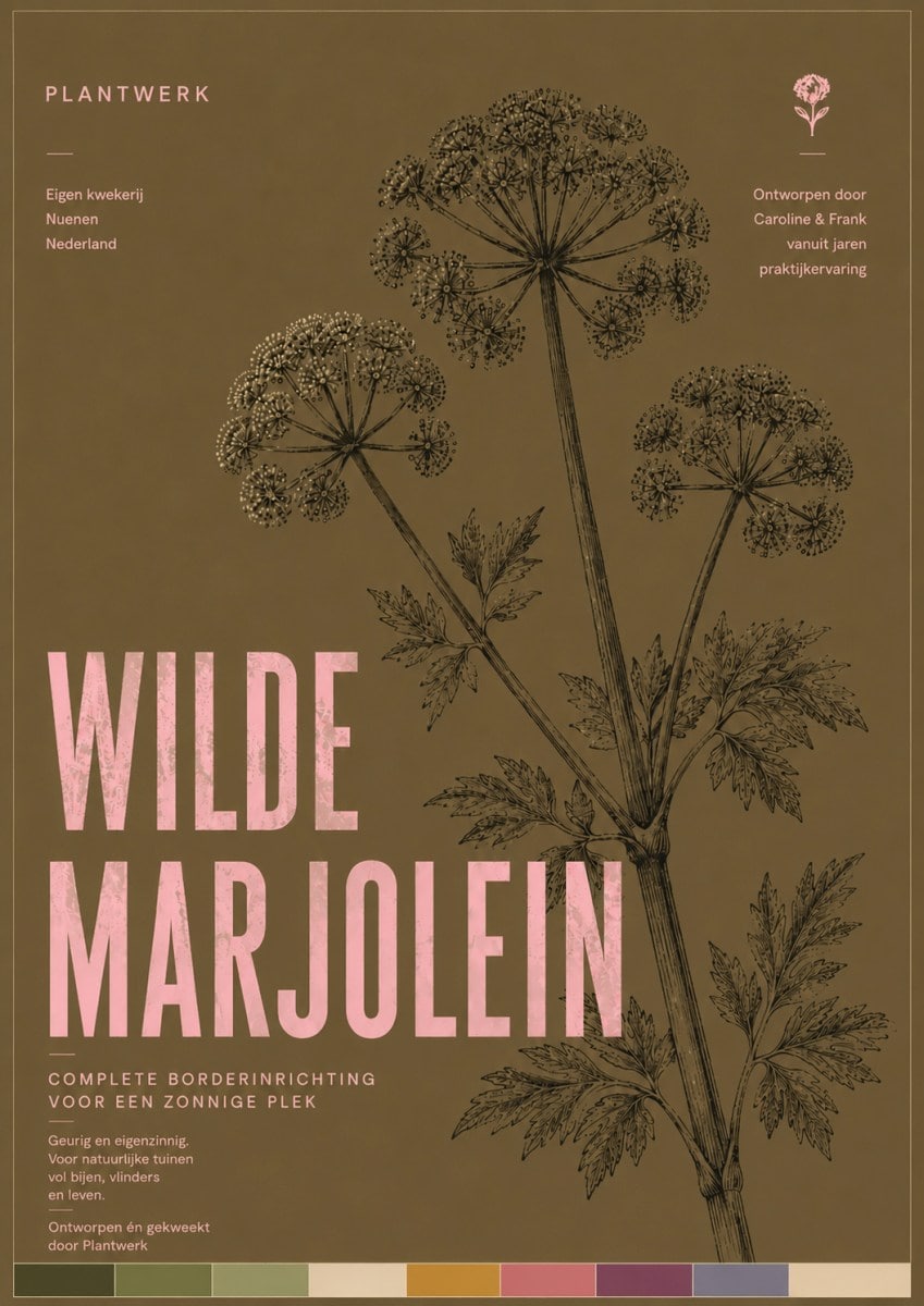 Botanical Card Wilde Marjolein – Plantwerk Botanical Collection met inheemse planten voor zonnige tuinen