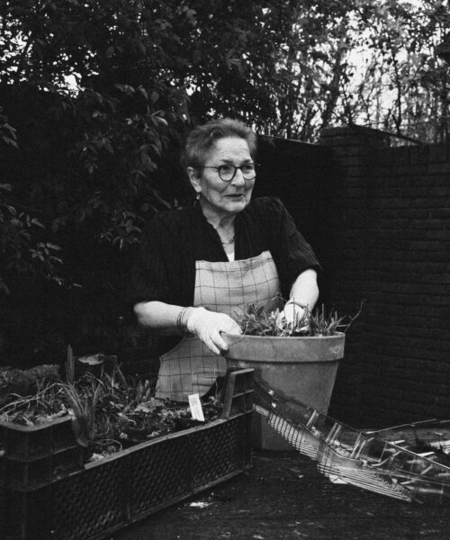 duurzaam tuincadeau vaste planten verzorgen tuin Vrouw werkt zorgvuldig met vaste planten — duurzaam tuincadeau dat ieder jaar terugkomt