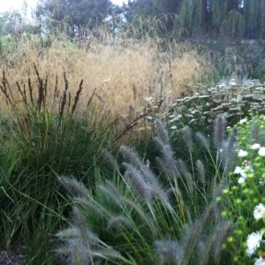 Vaste tuin met siergrassen en bloemrijke border, natuurlijke tuinindeling met diverse planten en bloemen.