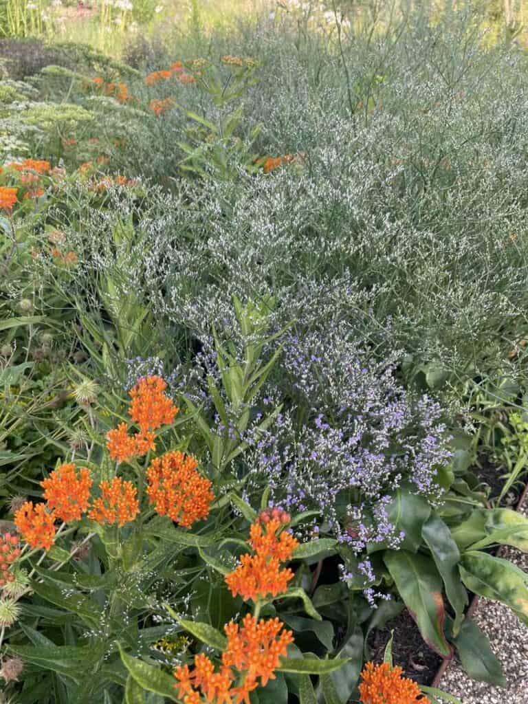 Volwassen border met vaste planten en siergrassen na drie jaar