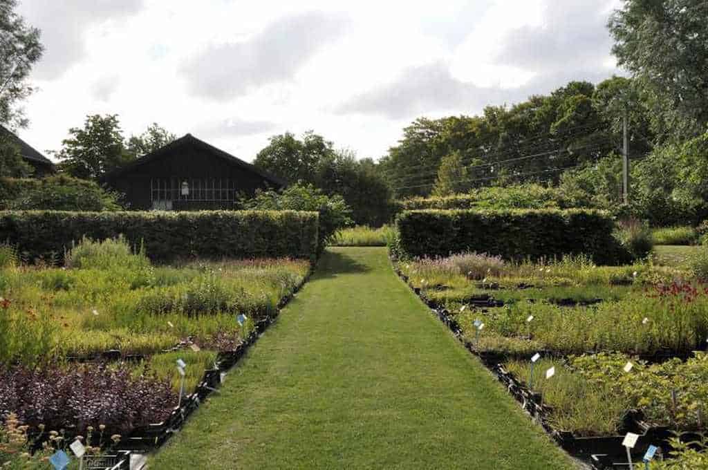 ritme-van-de-kwekerij-overzicht kwekerij van vaste planten en siergrassen bij Plantwerk