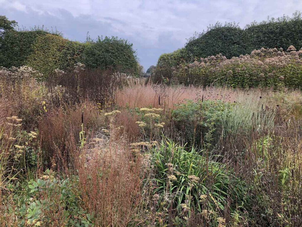 Aftakelingsfase van vaste planten in een border in de Oudolf-stijl