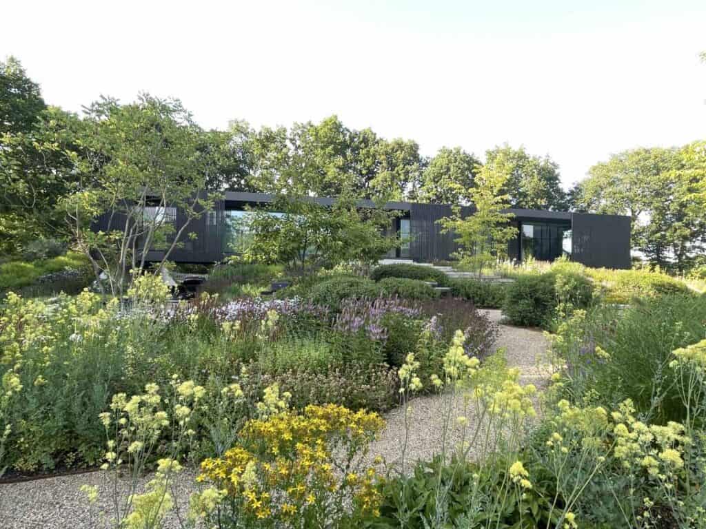 border na anderhalf jaar. volwassen planten
