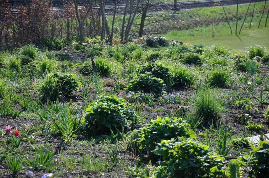 Overzicht van de tuin in april met gelaagd beeld