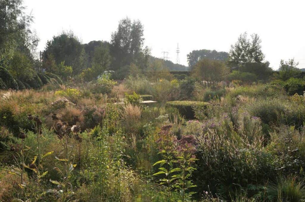Rijpe border in september met vaste planten en siergrassen