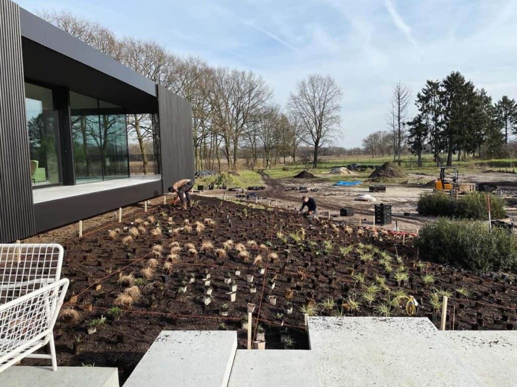Vaste planten in pot uitgelegd op de border voordat ze in de grond gaan