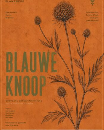Botanical Collection Blauwe Knoop - borderpakket met inheemse planten voor zonnige tuinen