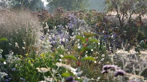 Gemakkelijke tuinplanten in een onderhoudsvriendelijke border