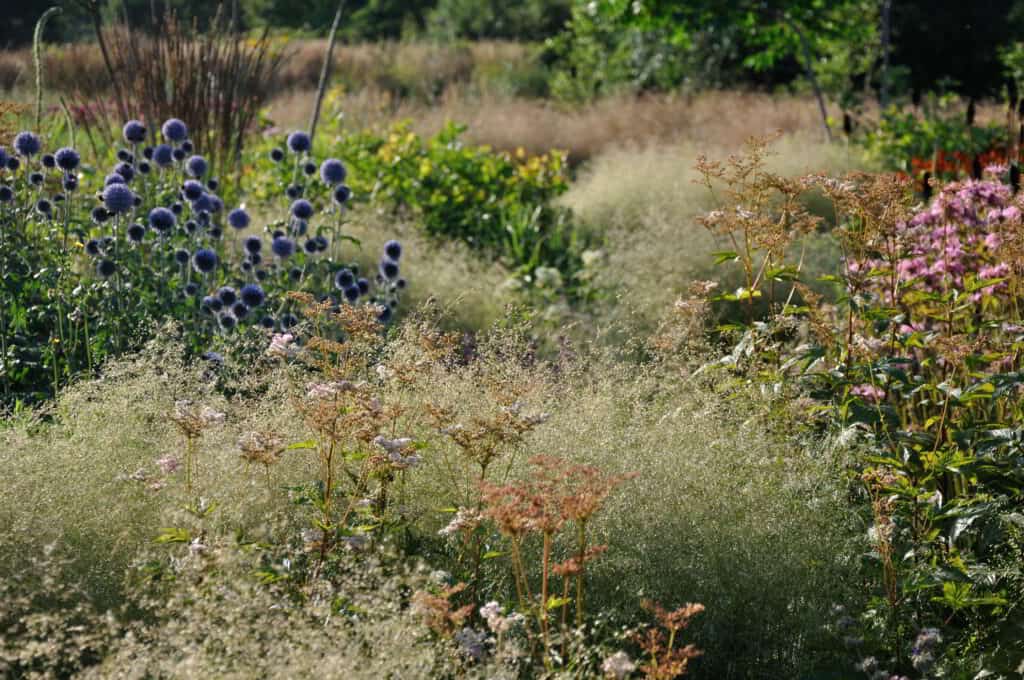 Border met grote bladvormen en subtiele accenten