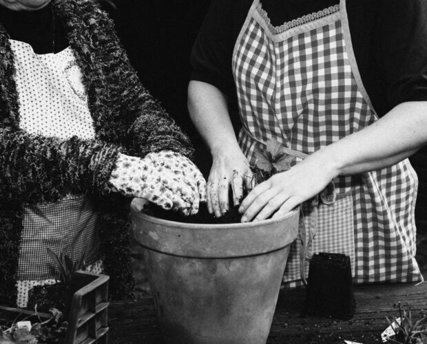 Handen van moeder en dochter die samen een vaste plant inpotten als cadeau voor een tuinliefhebber