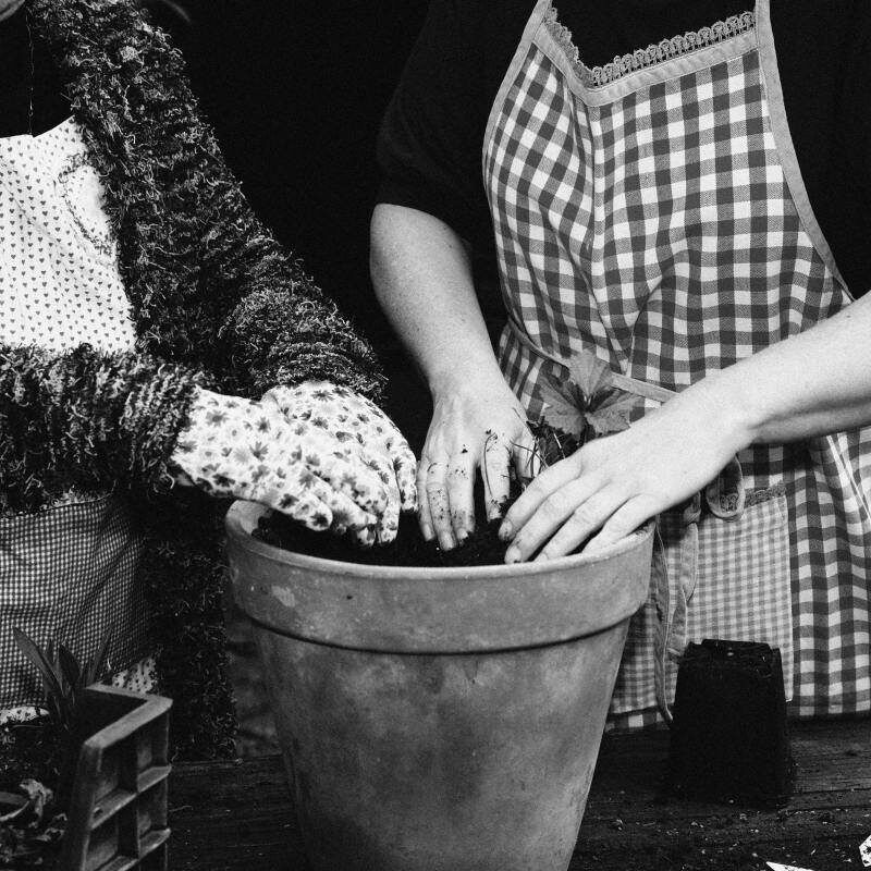 een cadeau dat je samen geeft Handen van moeder en dochter die samen een vaste plant inpotten als cadeau voor een tuinliefhebber