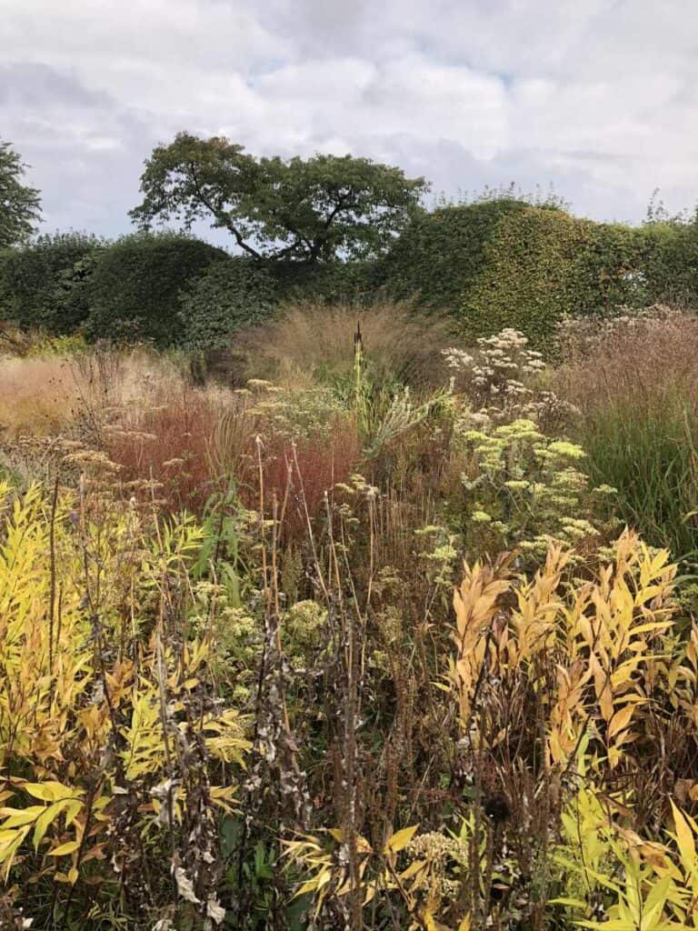Vaste planten in oker- en bronstinten in een natuurlijke herfstborder