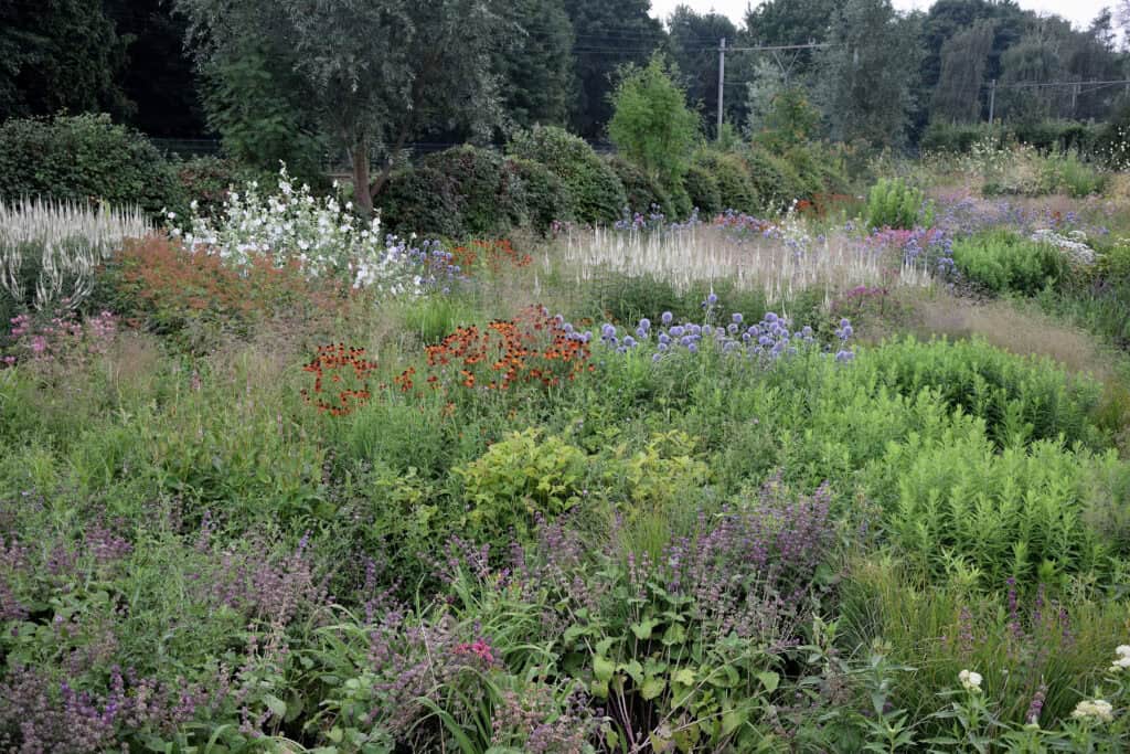 Natuurlijke border met herhaling van vaste planten
