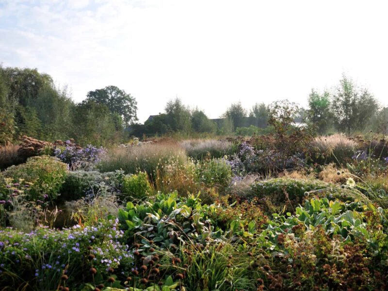 Gelaagde prairieborder met vaste planten en siergrassen