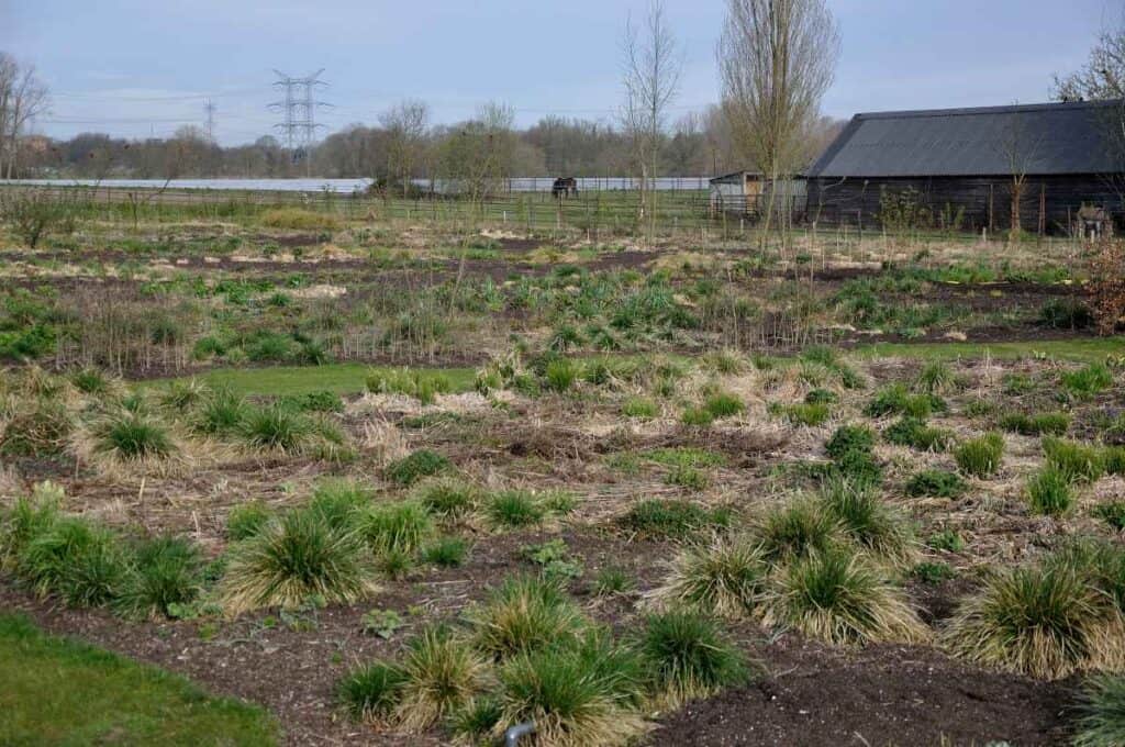 Structuur wordt zichtbaar