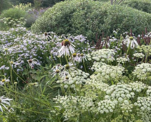 Vaste planten en siergrassen die samen een natuurlijke structuur vormen