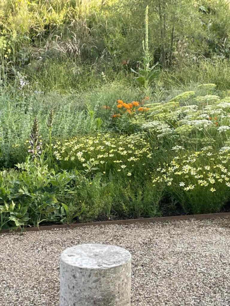 Rustig tuinbeeld met natuurlijke beplanting in balans