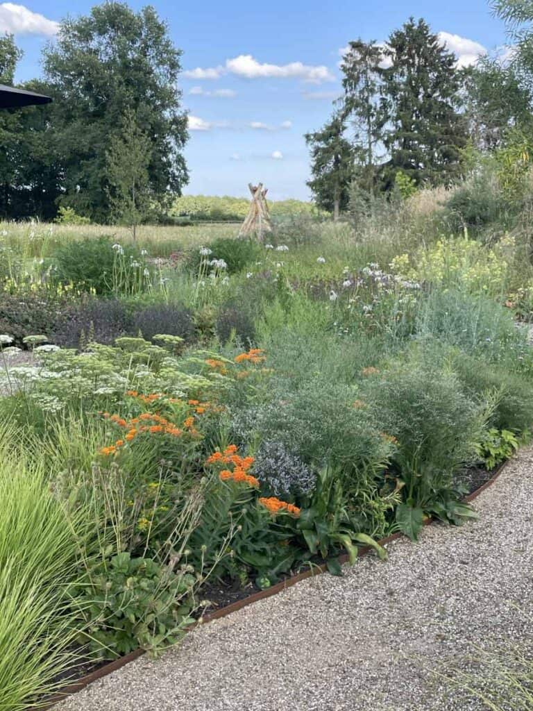 Natuurlijke border met vaste planten en siergrassen in samenhang
