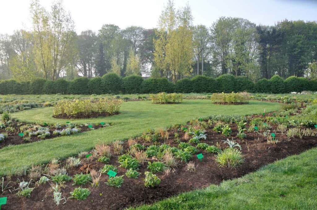Jonge border kort na aanplanten