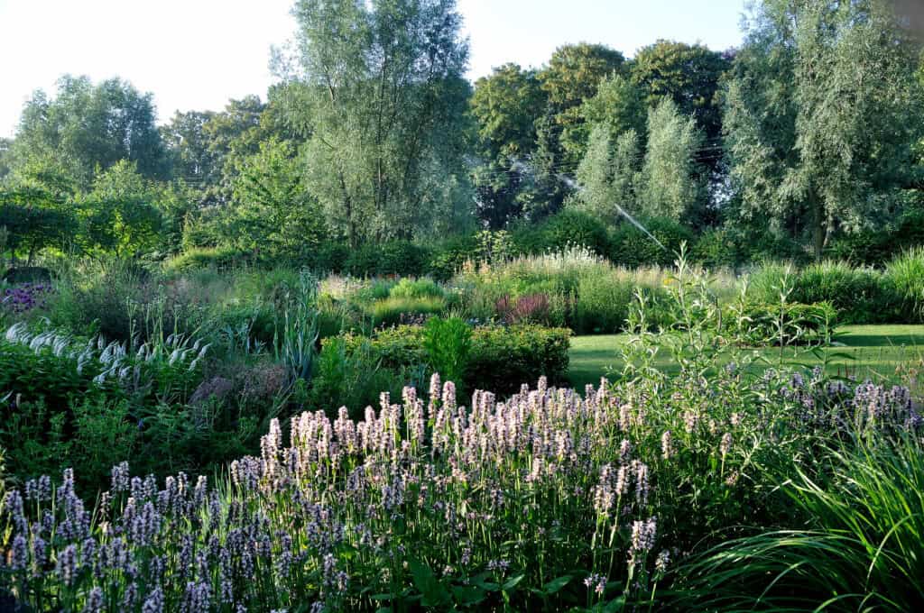 Border waarin planten goed op hun standplaats groeien