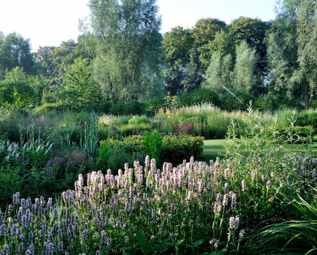 Border waarin planten goed op hun standplaats groeien