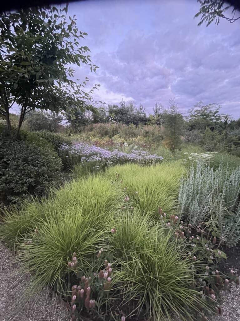 Structuur van vaste planten en siergrassen buiten de bloei