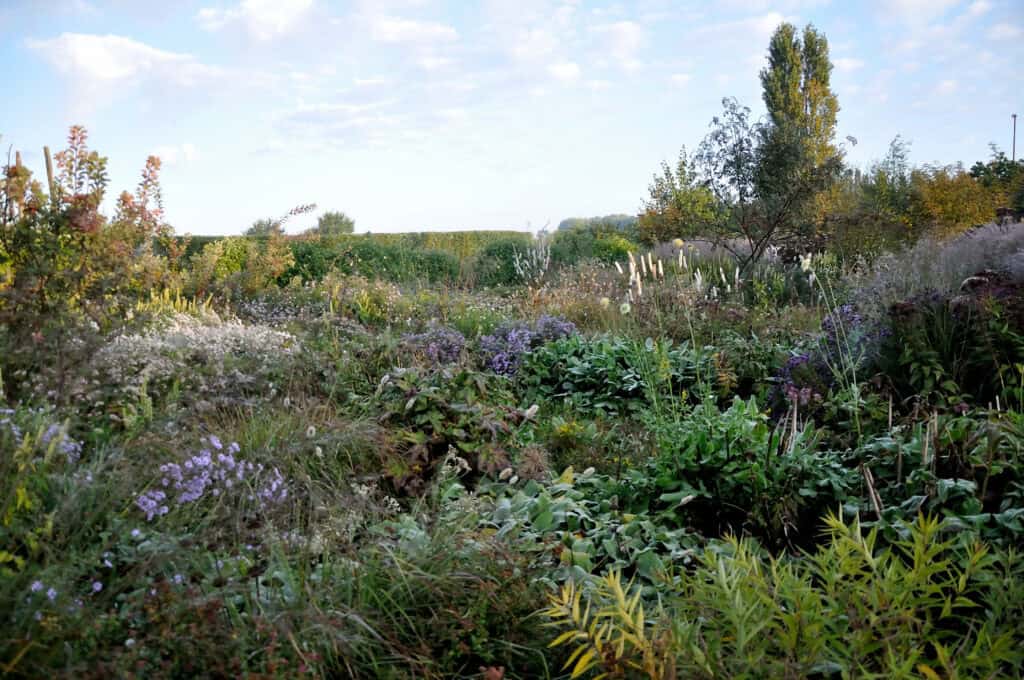 samenhangende border met vaste planten en siergrassen
