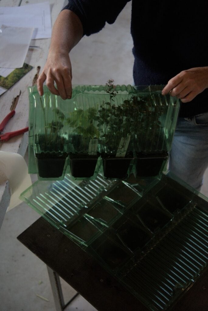 planten verpakt in gerecyclede verpakking