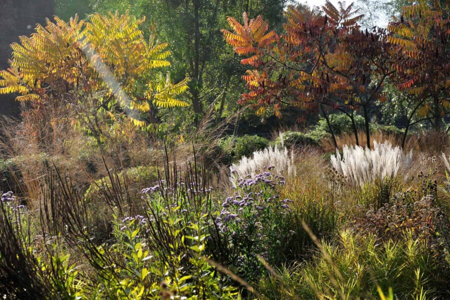 Prairiebeplanting met herfststructuur en zaadhoofden