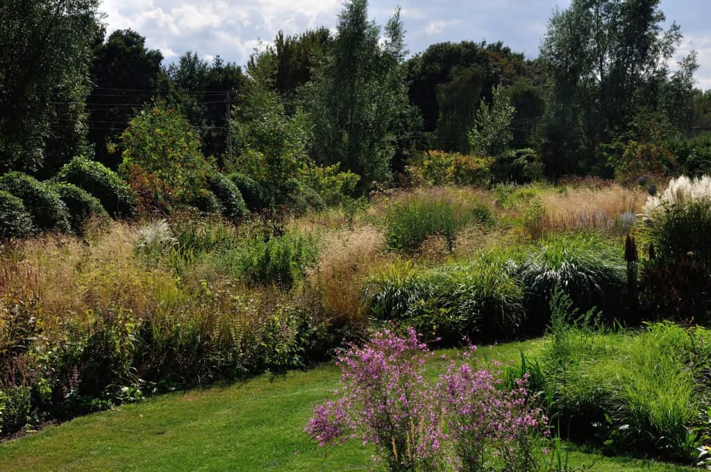 open ruimte tussen planten in een natuurlijke border