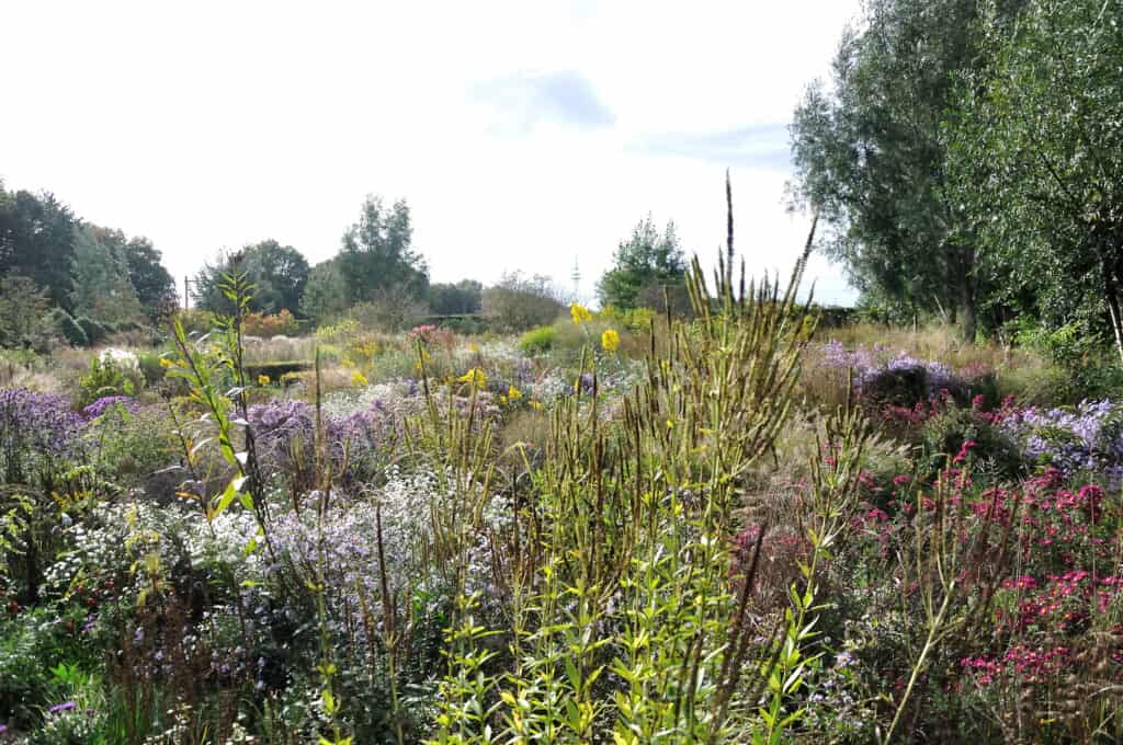Rustige natuurlijke tuin in oktober